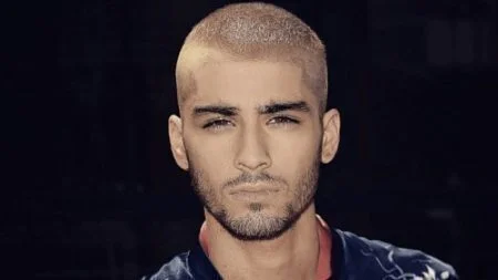 تحميل اغنية ZAYN - Rainberry 2018