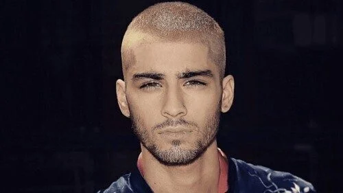 تحميل اغنية ZAYN – Rainberry 2018
