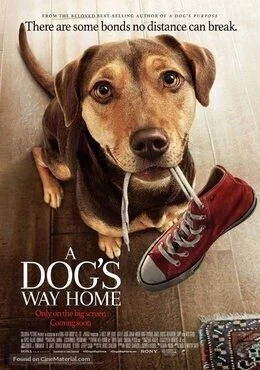 فيلم A Dog’s Way Home 2019 مترجم