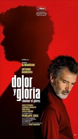 فيلم Pain and Glory 2019 مترجم