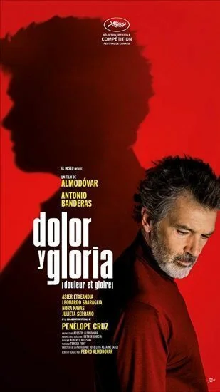 فيلم Pain and Glory 2019 مترجم