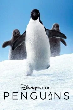 فيلم Penguins 2019 مترجم
