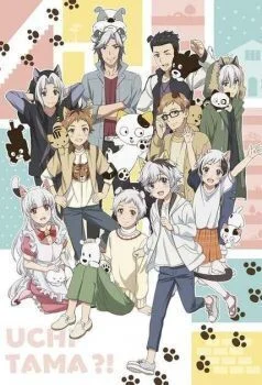 انمي Uchi Tama?! Uchi no Tama Shirimasen ka? مترجم