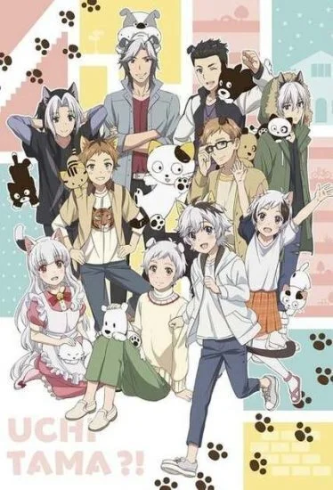انمي Uchi Tama?! Uchi no Tama Shirimasen ka? مترجم