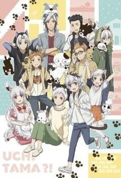 انمي Uchi Tama?! Uchi no Tama Shirimasen ka? الحلقة 1 الاولي