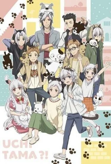 انمي Uchi Tama?! Uchi no Tama Shirimasen ka? الحلقة 1 الاولي