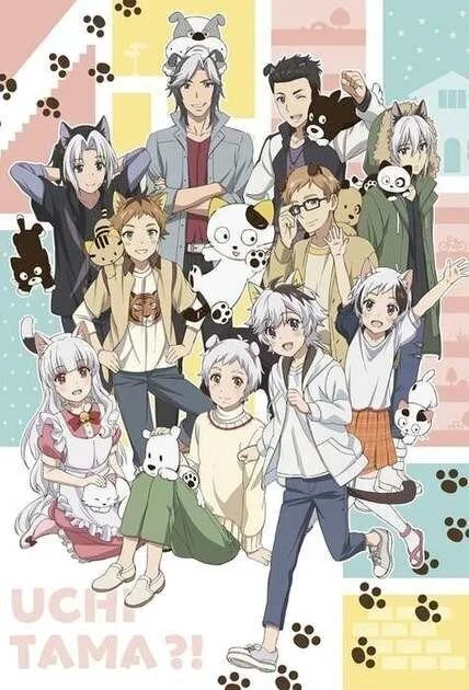 انمي Uchi Tama?! Uchi no Tama Shirimasen ka? مترجم