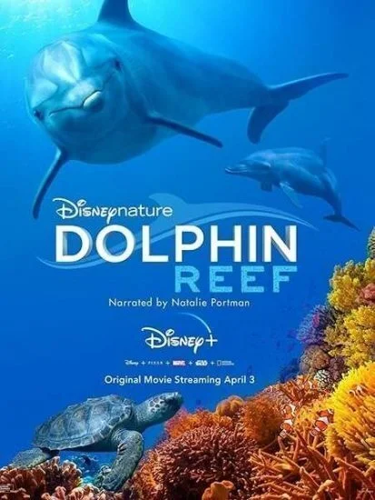 فيلم Dolphin Reef 2020 مترجم