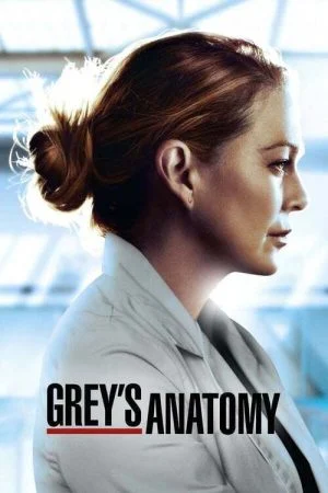 مسلسل Grey’s Anatomy الموسم السابع عشر الحلقة 2 الثانية