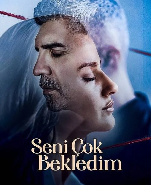 مسلسل انتظرتك كثيراً مترجم