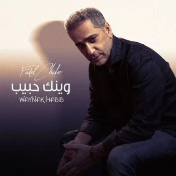 اغنية فضل شاكر وينك حبيب mp3