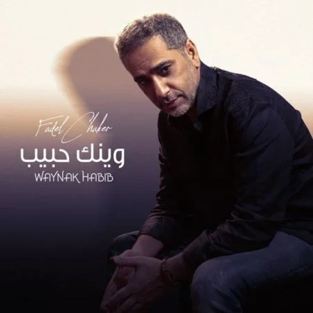 اغنية فضل شاكر وينك حبيب mp3