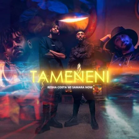 مهرجان طمنيني ريشا كوستا وسماره ناو mp3