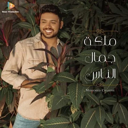 اغنية محمد شاهين ملكة جمال الناس mp3
