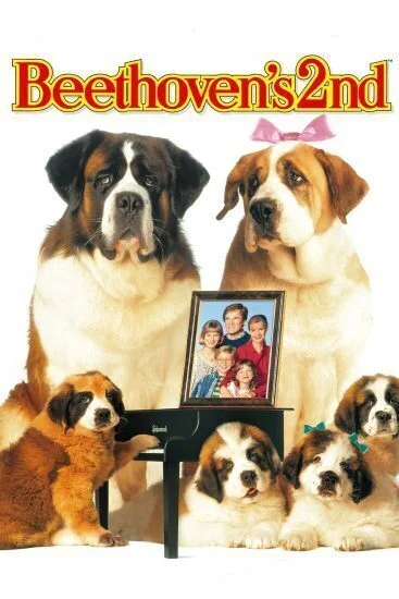 فيلم Beethoven's 2nd 1993 مترجم