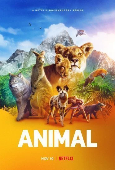 مسلسل Animal الموسم الاول الحلقة 3 الثالثة