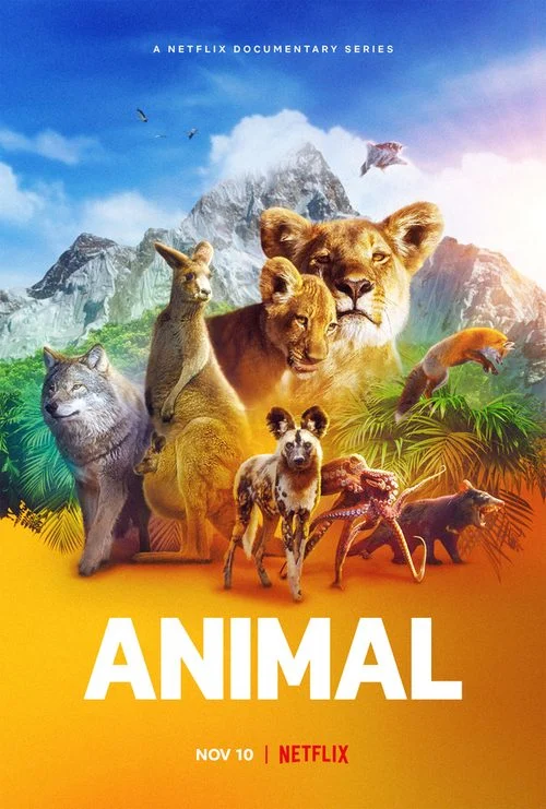 مسلسل Animal الموسم الاول