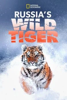 فيلم Russia’s Wild Tiger 2022 مترجم