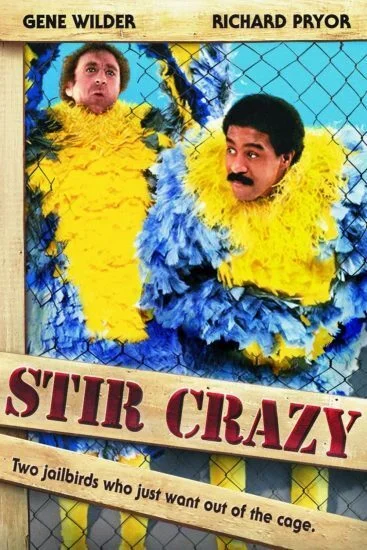 فيلم Stir Crazy 1980 مترجم