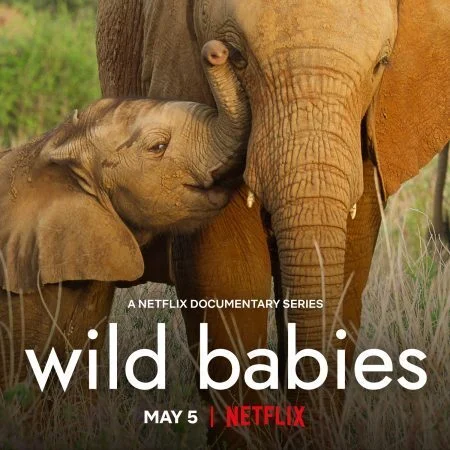 مسلسل Wild Babies الموسم الاول الحلقة 1 الاولي مترجمة
