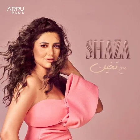 اغنية شذي مخ تخين mp3