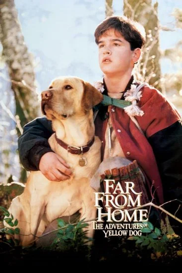 فيلم Far from Home: The Adventures of Yellow Dog 1995 مترجم