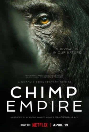 مسلسل Chimp Empire الموسم الاول الحلقة 4 الرابعة والاخيرة مترجمة