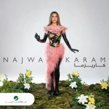 اغنية نجوي كرم كاريزما mp3