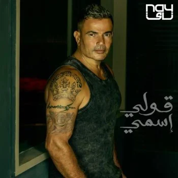 اغنية عمرو دياب قولي اسمي mp3