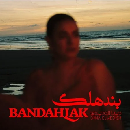اغنية دينا الوديدي بنهدلك mp3