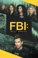 مسلسل FBI Most Wanted الموسم الخامس الحلقة 21 الحادية والعشرون مترجمة