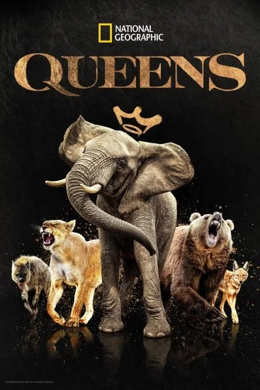 مسلسل Queens 2024 الموسم الاول الحلقة 2 الثانية مترجمة