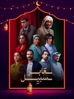 مسلسل عابر سبيل الحلقة 20 العشرون