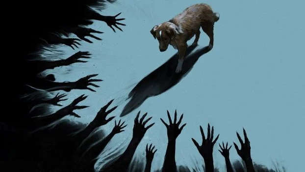 فيلم Good Boy 2025 مترجم