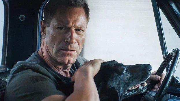 فيلم Muzzle City of Wolves 2025 مترجم