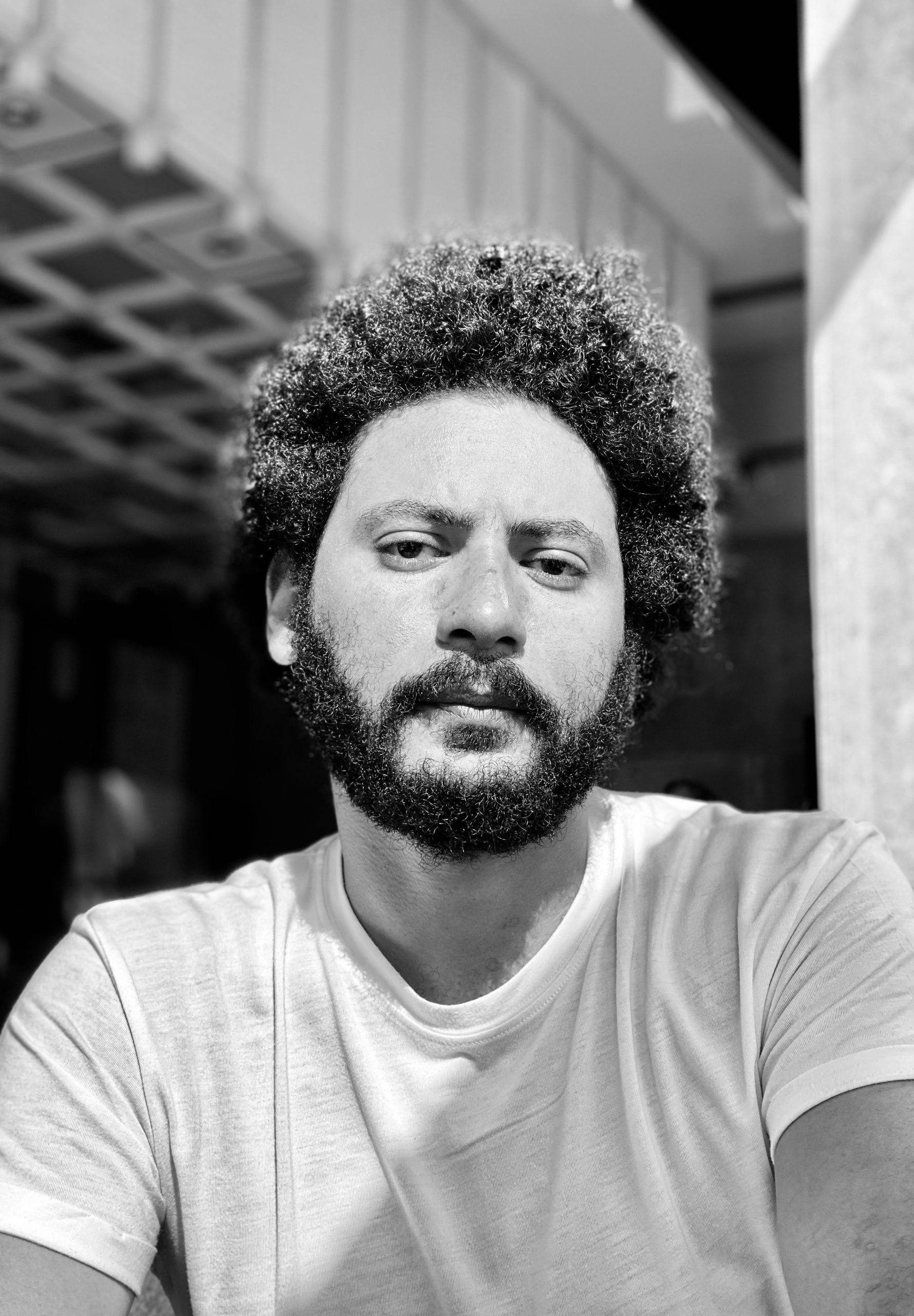 محمد سلامة